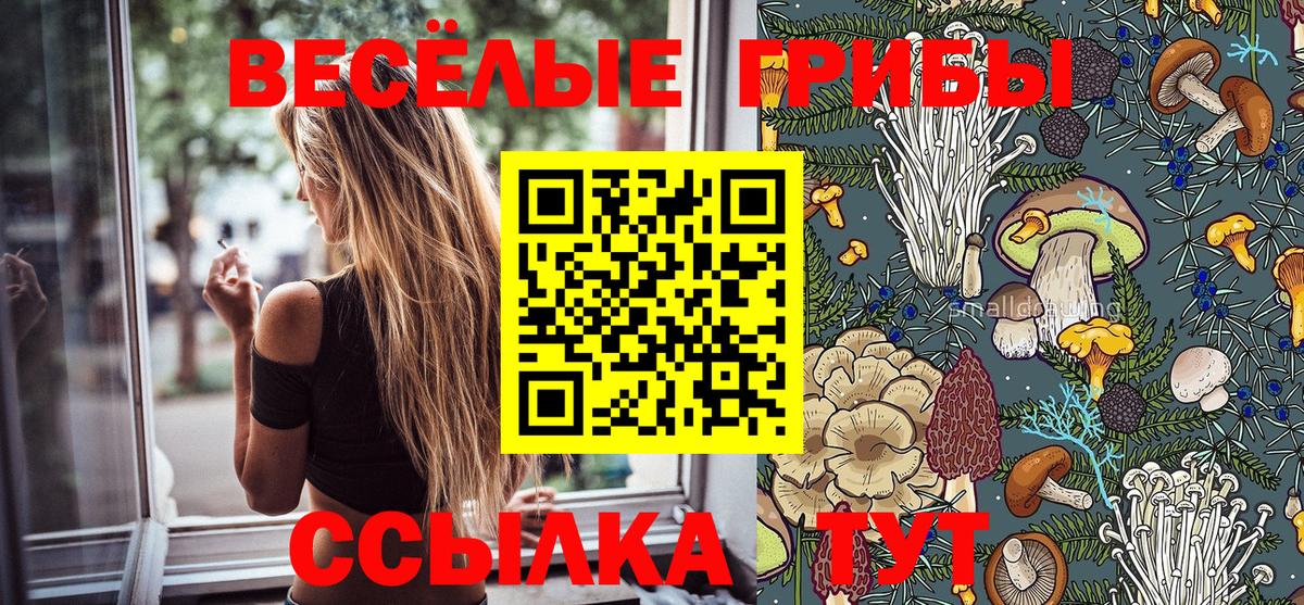 Галлюциногенные грибы ЛСД Заинск