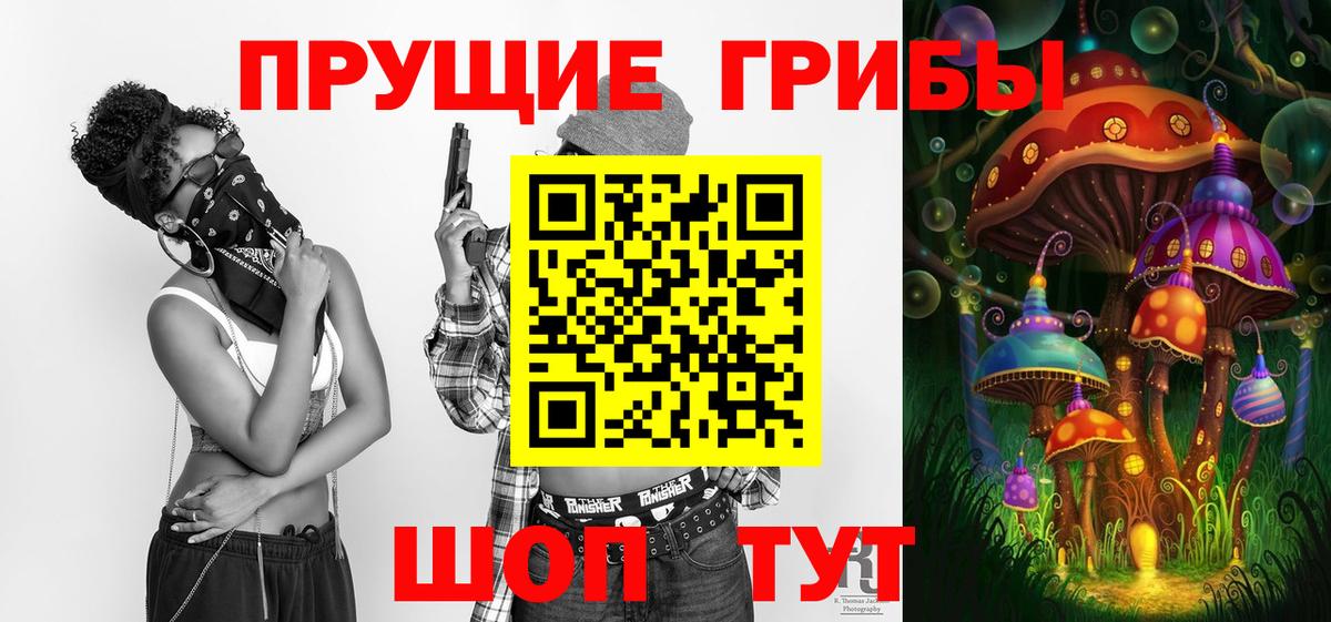 Псилоцибиновые грибы GOLDEN TEACHER  Вход с VPN  Заинск 